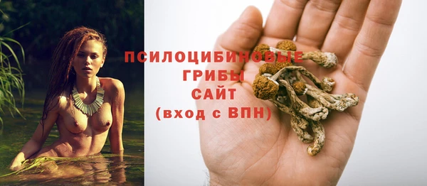 мескалин Арсеньев