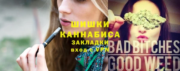 ГАЛЛЮЦИНОГЕННЫЕ ГРИБЫ Балабаново