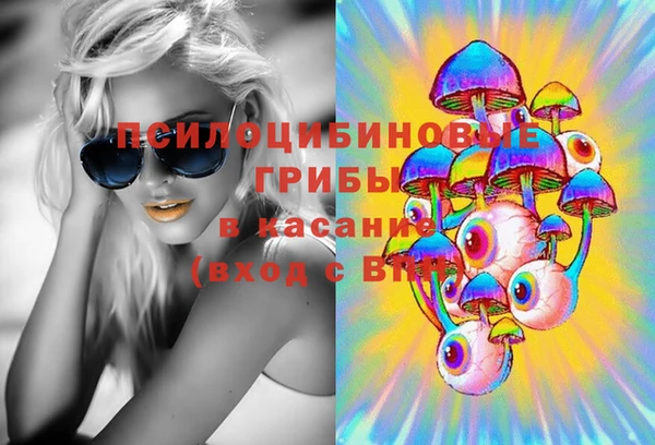 крисы Армянск