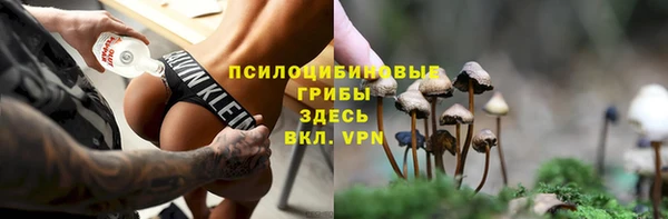 мескалин Арсеньев