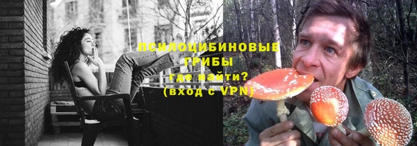 мескалин Арсеньев