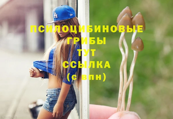 крисы Армянск