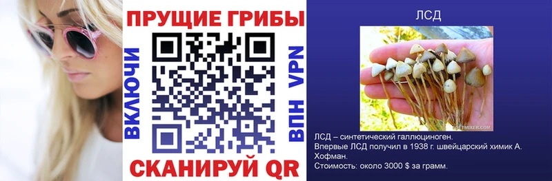 где продают   Барабинск  Галлюциногенные грибы Psilocybine cubensis 